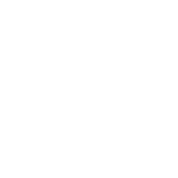 Category-Specific Prompting (2) (1)