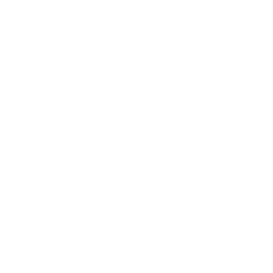 Natural Voice Conversations (2) (1)